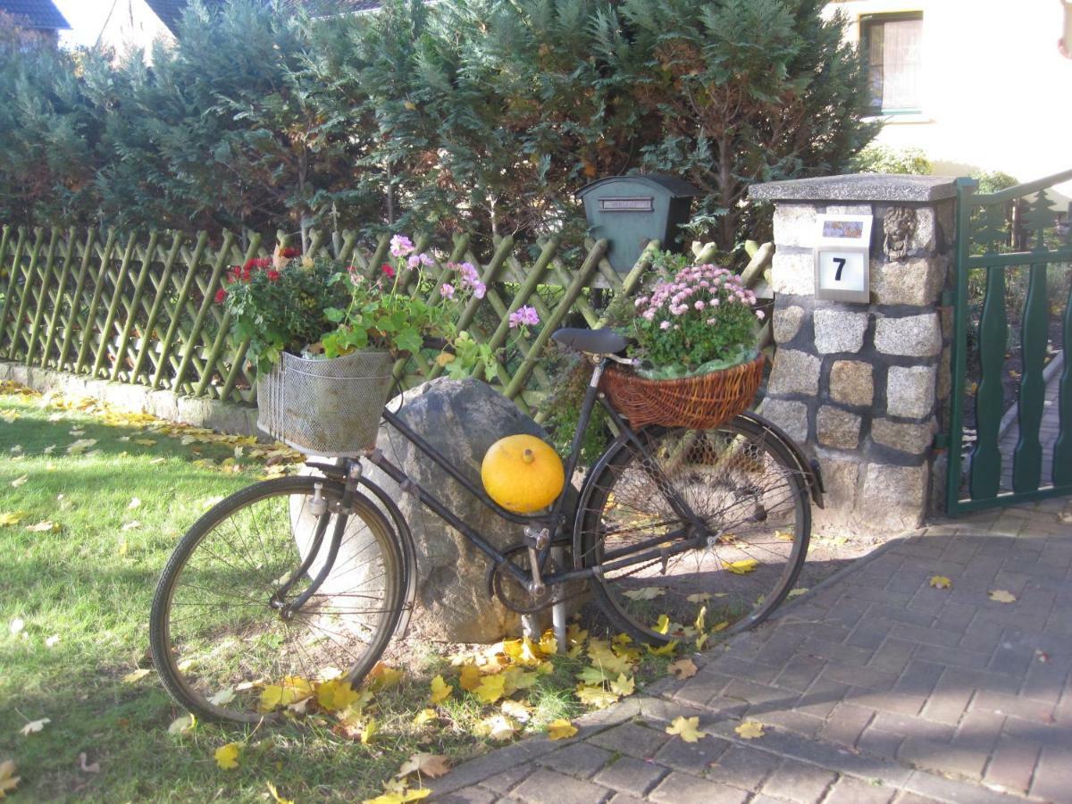 Pension Zum Weissen Hirsch Reitwein ภายนอก รูปภาพ