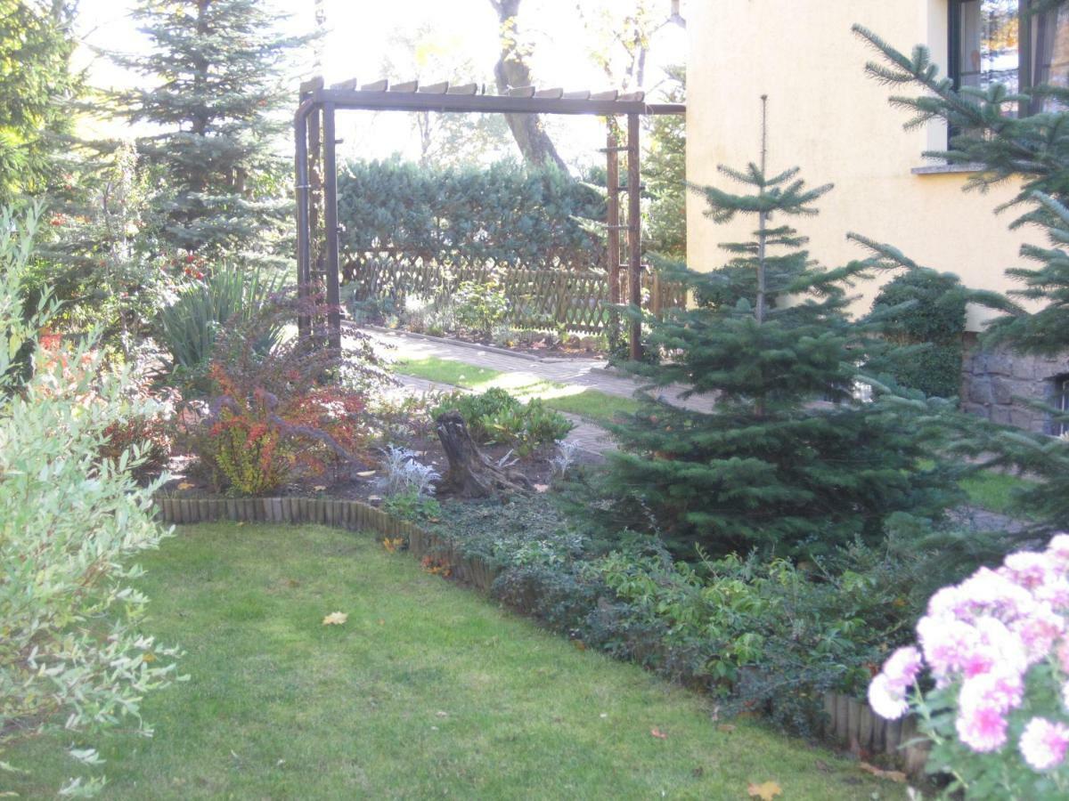 Pension Zum Weissen Hirsch Reitwein ภายนอก รูปภาพ
