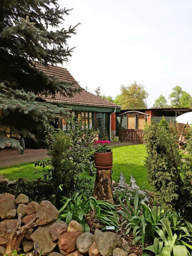 Pension Zum Weissen Hirsch Reitwein ภายนอก รูปภาพ
