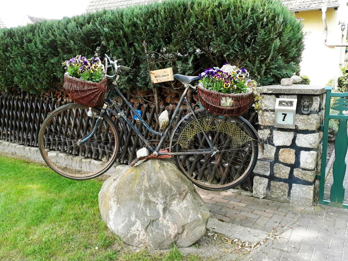 Pension Zum Weissen Hirsch Reitwein ภายนอก รูปภาพ